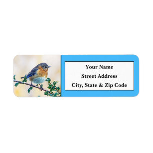 Eastern Bluebird Return Address Labels