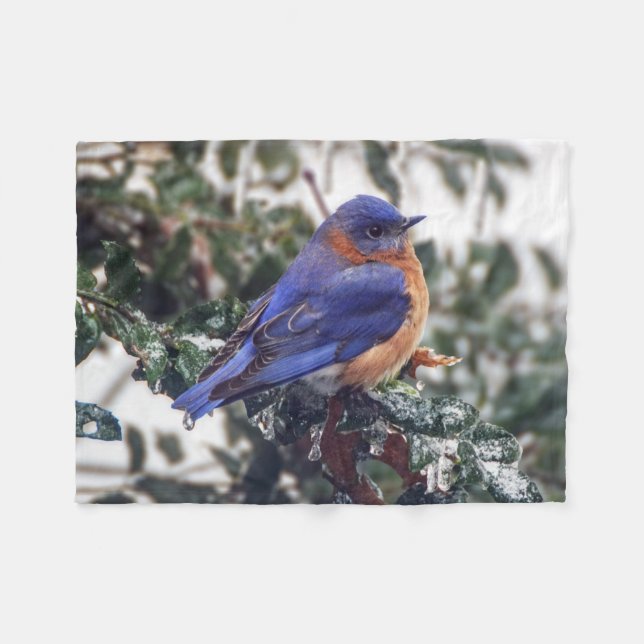 Eastern Bluebird Small Fleece Blanket (Front (Horizontal))