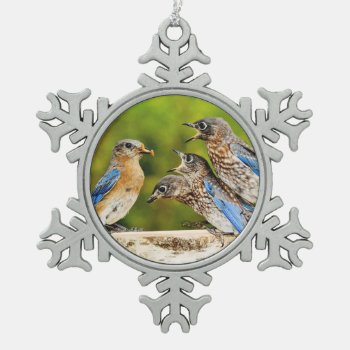 Eastern Bluebird Snowflake Pewter Christmas Ornament by birdsandblooms at Zazzle