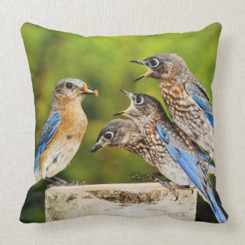 Eastern Bluebird Throw Pillow by birdsandblooms at Zazzle