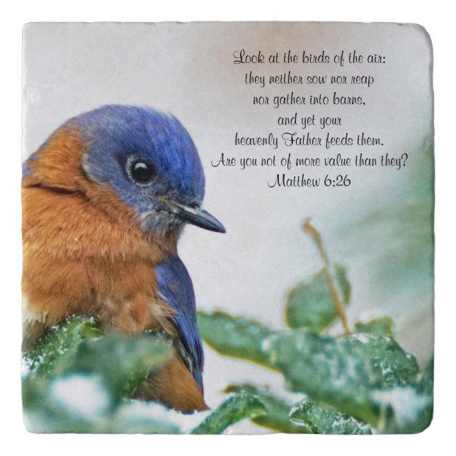 Eastern Bluebird Trivet Matthew 6:26 (Front)
