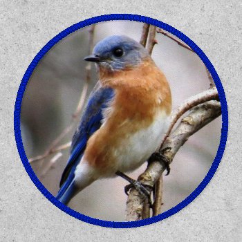 Eastern Bluebird Velcro Patch by BirdingCollectibles at Zazzle