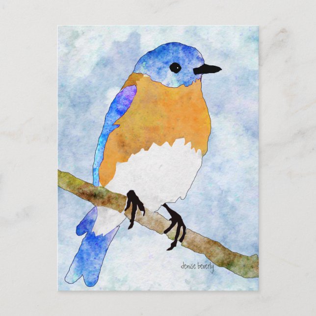 Eastern Bluebird watercolor style postcards (Front)