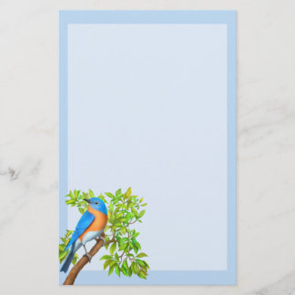 Eastern Bluebird Wild Bird Stationery