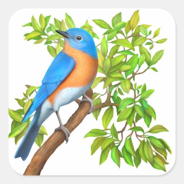 Eastern Bluebird Wild Bird Stickers (Front)