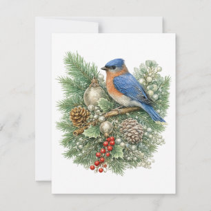 Eastern Bluebird Winter Songbirds Collection Note Card