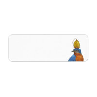 Eastern bluebird with paulownia pod return address label