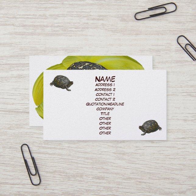 Eastern Box Turtle Business Card (Front/Back In Situ)