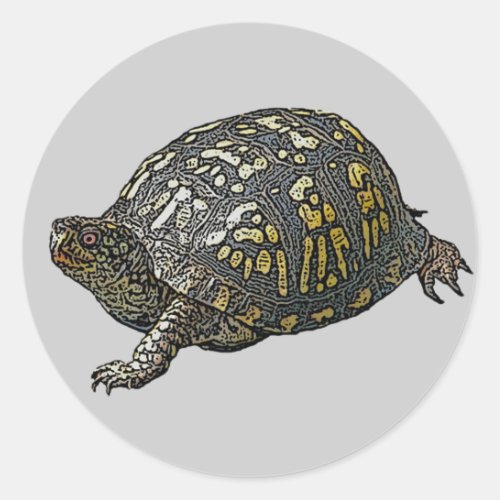 Eastern Box Turtle Coordinating Items Classic Round Sticker