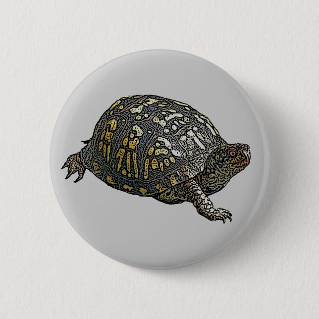 Eastern Box Turtle Coordinating Items Pinback Button (Front)
