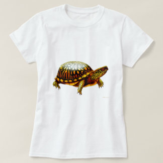 Eastern Box Turtle Ladies Babydoll Shirt