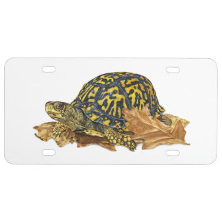 Eastern Box Turtle License Plate