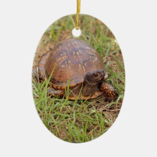 Eastern Box Turtle (North Carolina and Tennessee) Ceramic Ornament