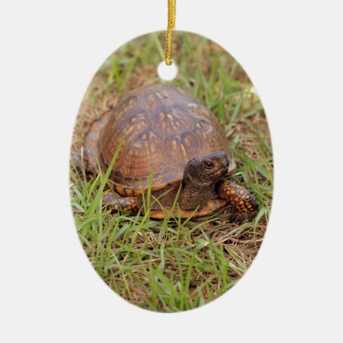 Eastern Box Turtle North Carolina and Tennessee Ceramic Ornament