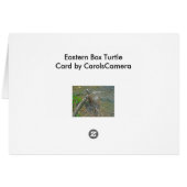 Eastern Box Turtle Note Card (Back Horizontal)