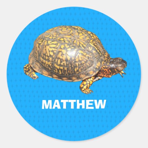 Eastern Box Turtle Photo Personalized Classic Round Sticker