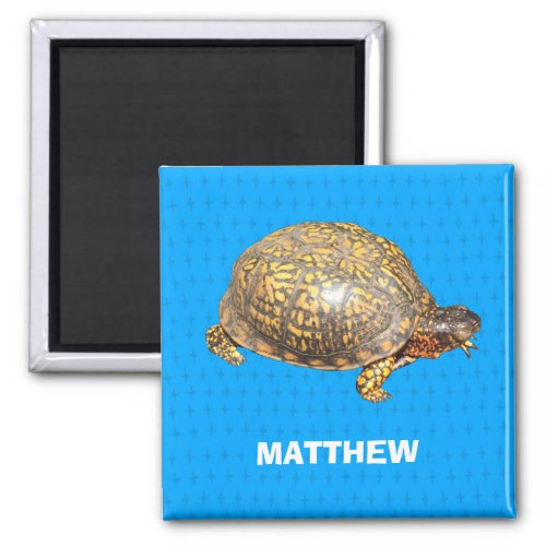 Eastern Box Turtle Photo Personalized Magnet