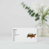 Eastern Box Turtle Profile Card (Standing Front)