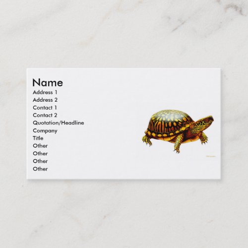 Eastern Box Turtle Profile Card Business Card Template