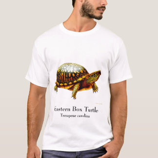 Eastern Box Turtle T-Shirt