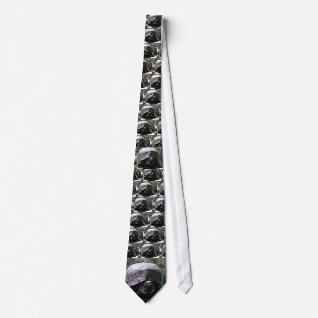 eastern box turtle tie (Front)