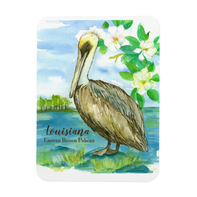 Eastern Brown Pelican Louisiana State Bird Magnet (Vertical)