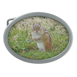 Eastern Chipmunk Belt Buckle