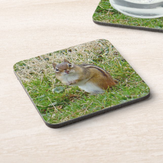 Eastern Chipmunk Beverage Coaster (Left Side)