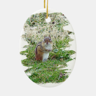 Eastern Chipmunk Ceramic Ornament