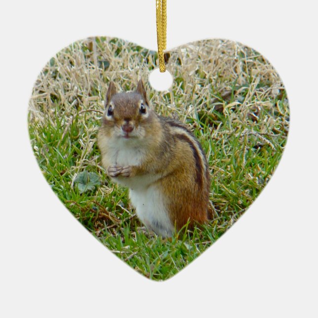 Eastern Chipmunk Ceramic Ornament (Front)