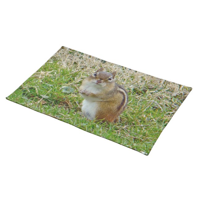 Eastern Chipmunk Cloth Placemat (On Table)