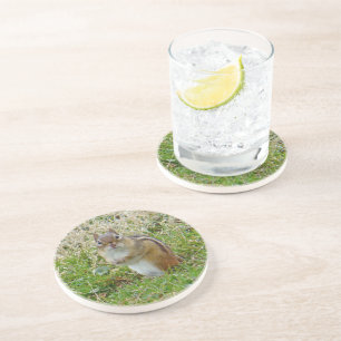 Eastern Chipmunk Drink Coaster