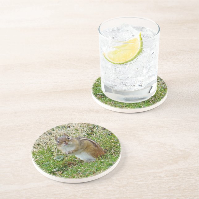 Eastern Chipmunk Drink Coaster (Side)