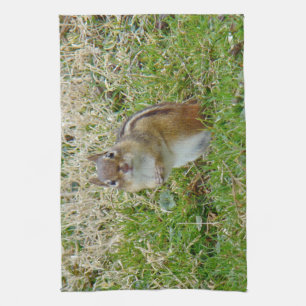 Eastern Chipmunk Kitchen Towel