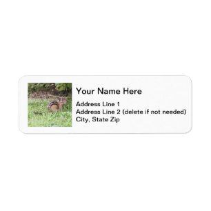 Eastern Chipmunk Label