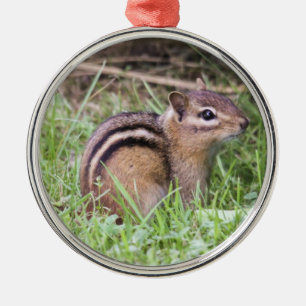 Eastern Chipmunk Metal Ornament