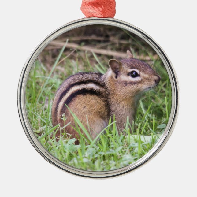 Eastern Chipmunk Metal Ornament (Front)