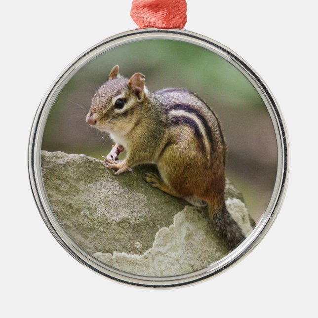 Eastern Chipmunk Metal Ornament (Front)