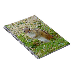Eastern Chipmunk Notebook
