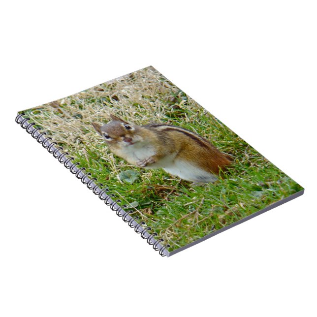 Eastern Chipmunk Notebook (Right Side)
