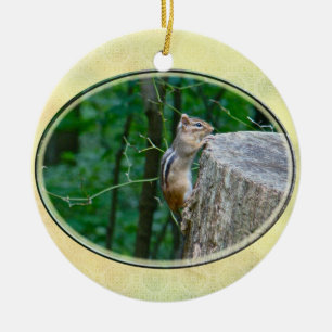 Eastern Chipmunk on Stump Ceramic Ornament