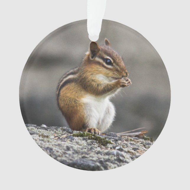 Eastern Chipmunk Ornament (Front)