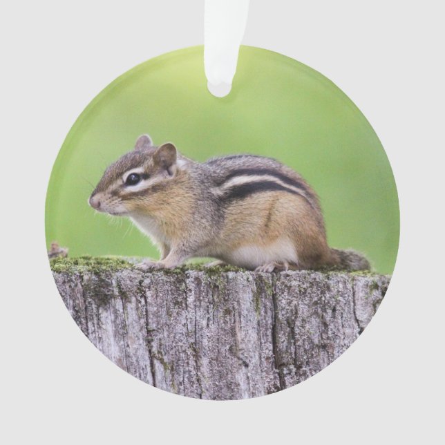 Eastern Chipmunk Ornament (Front)