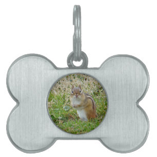 Eastern Chipmunk Pet Tag