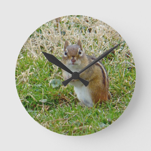Eastern Chipmunk Round Clock (Front)