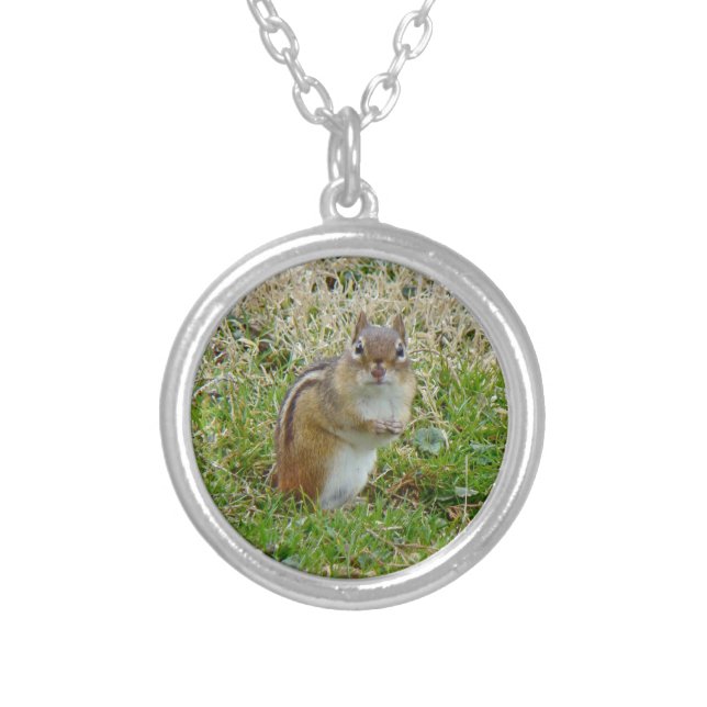 Eastern Chipmunk Silver Plated Necklace (Front)