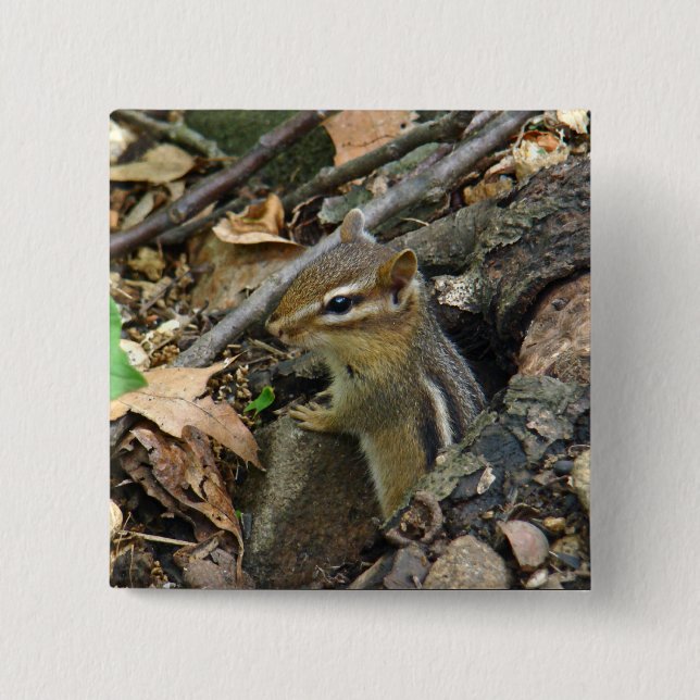 Eastern Chipmunk - Tamias striatus Pinback Button (Front)