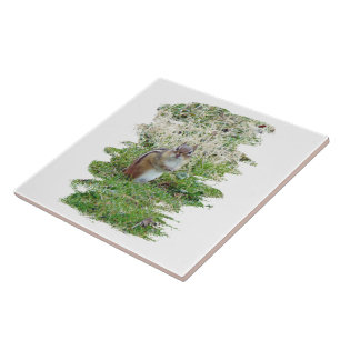 Eastern Chipmunk Tile