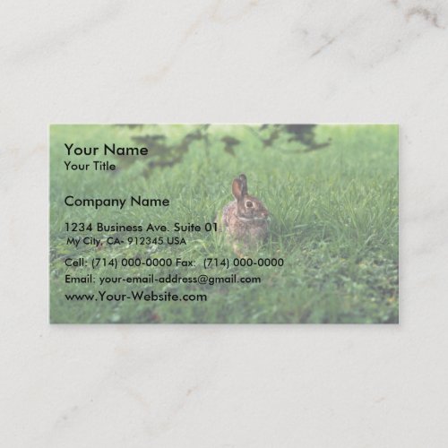 Eastern Cottontail Business Cards