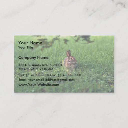 Customizable Eastern Cottontail Business Cards